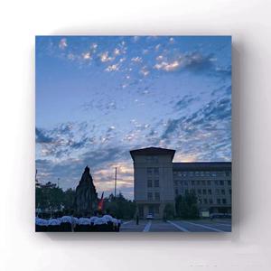 国产午夜视频在线观看网站
